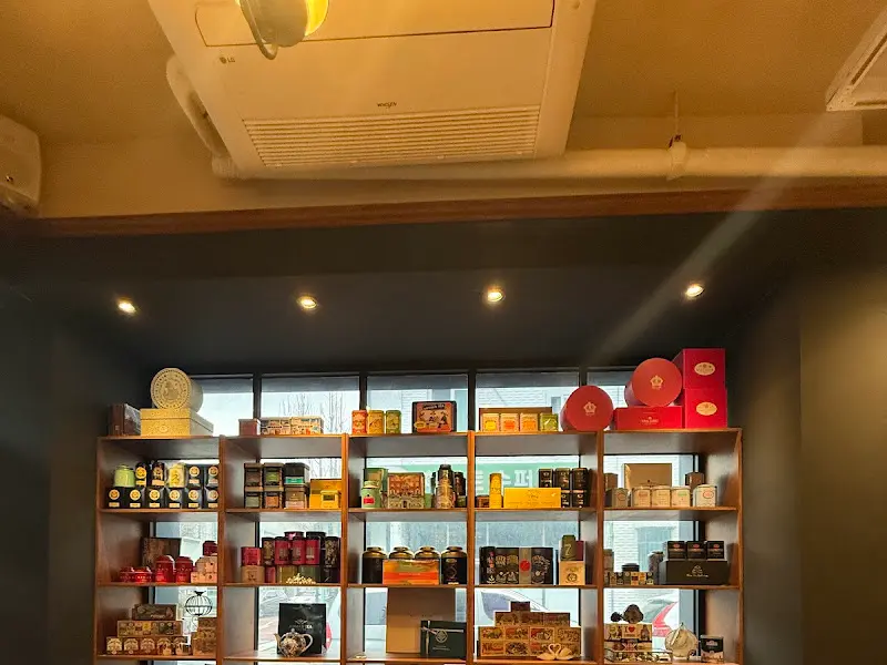 다양한 차 종류