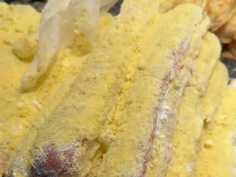 생크림 스틱 단면