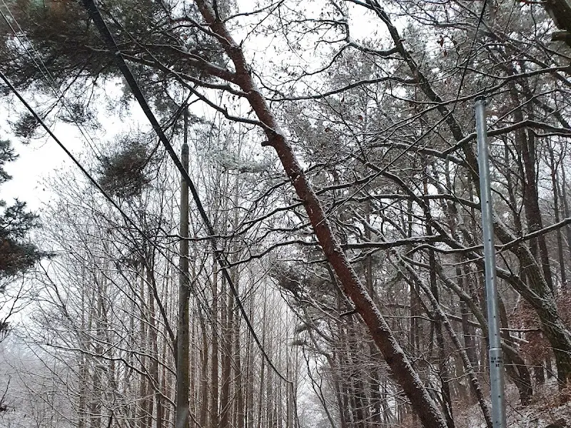 눈 내린 천마산 풍경