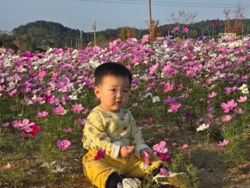 사라져가는 맛, 논산 장터국밥의 마지막 향수를 찾아서 떠나는 맛집 순례