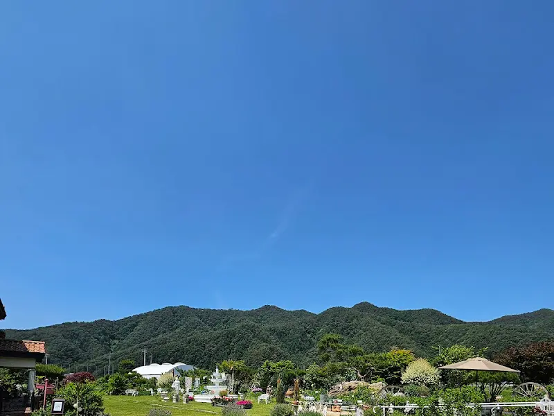 그리심 카페 정원 풍경