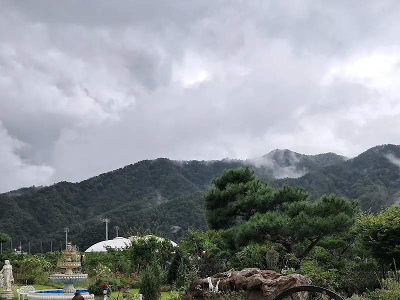 카페에서 바라본 산 풍경