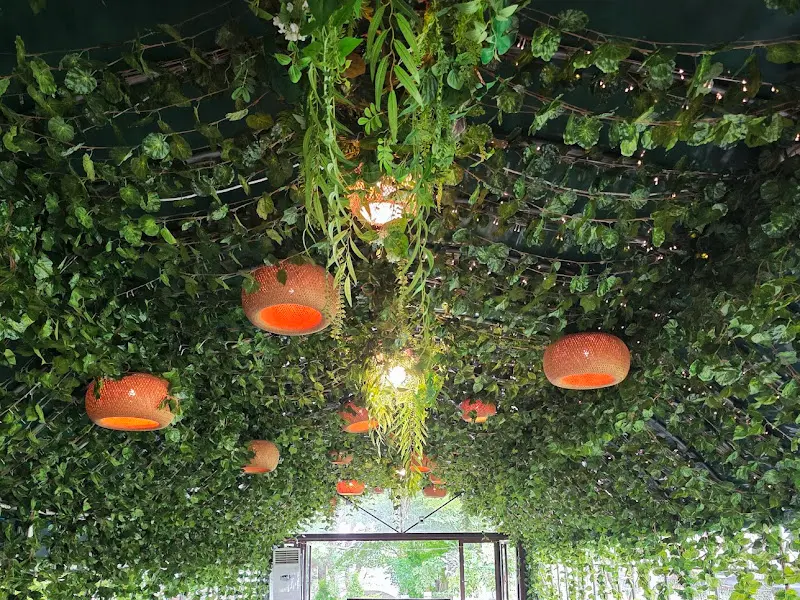 카페 내부 천장의 덩굴 식물과 조명 장식