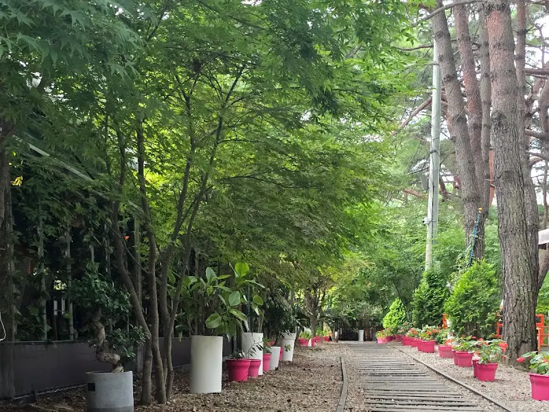 카페로 향하는 길