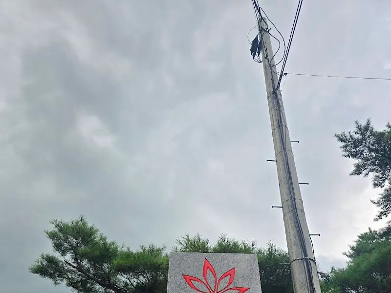 카페 입구의 단풍잎 조형물