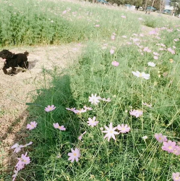 식당 주변 풍경