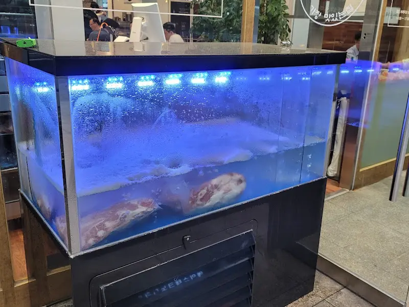 구로돈가 수족관