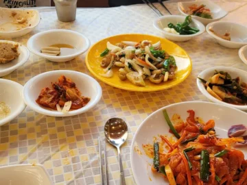 월출산 정취와 함께 즐기는 영암의 닭요리 향연, 그 깊은 맛에 취하다: 지역 맛집 순례기