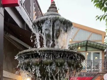 광주 외곽에서 만나는 숲 속 정원, 초유지에서 맛보는 특별한 갈비 맛집 여행