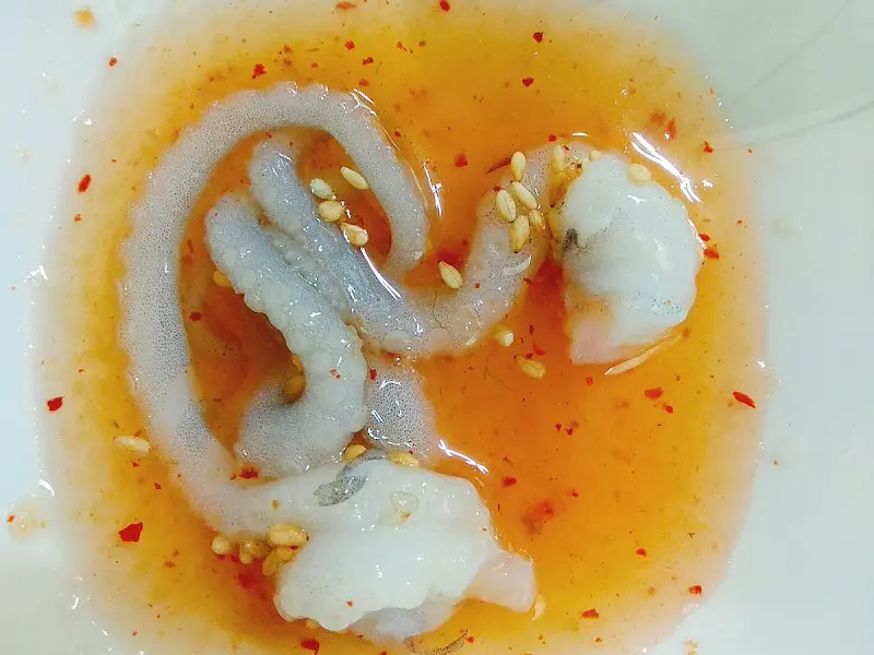 꿈틀거리는 기절낙지