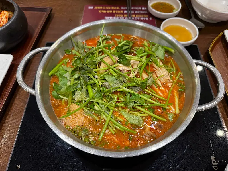 차돌미나리쌈 샤브칼국수