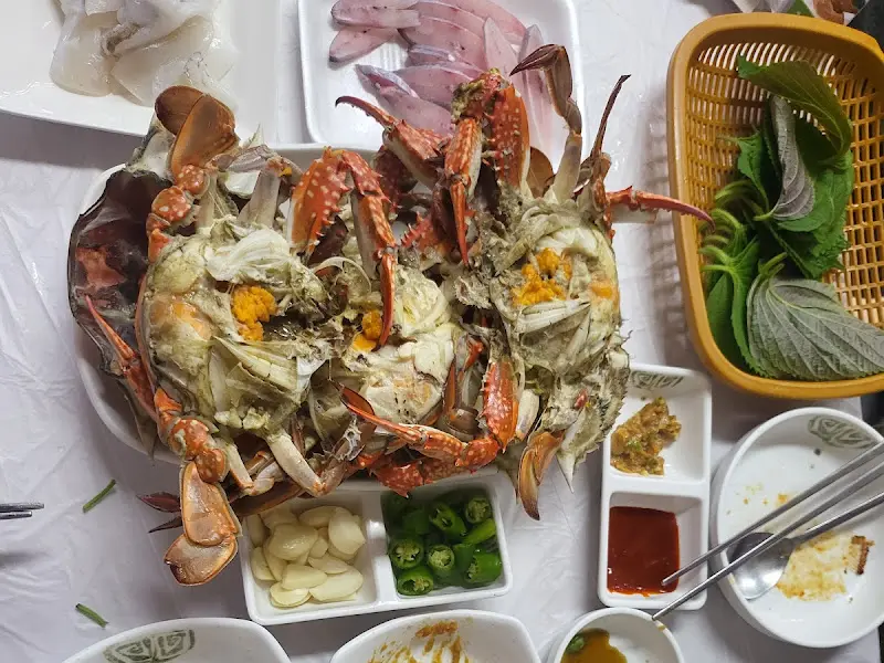 신선한 갑오징어회 한 상 차림