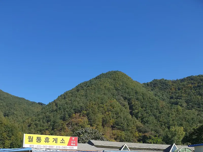 월통 휴게소 주변 풍경