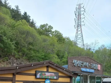 자연 속 힐링 맛집, 옥천에서 만난 형주네 바다이야기 생선구이 감동!