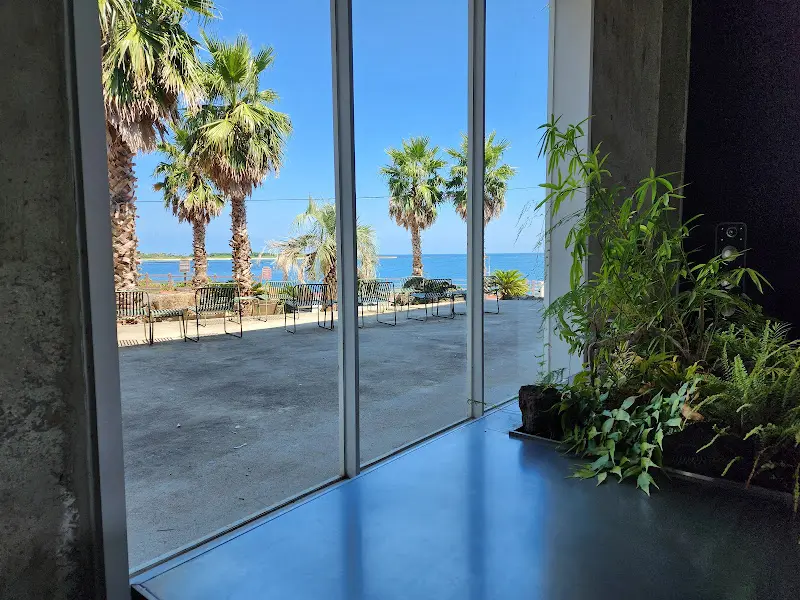 카페에서 보이는 야자수와 바다