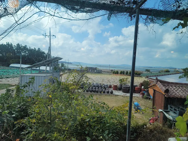 시인과 바다에서 바라본 풍경