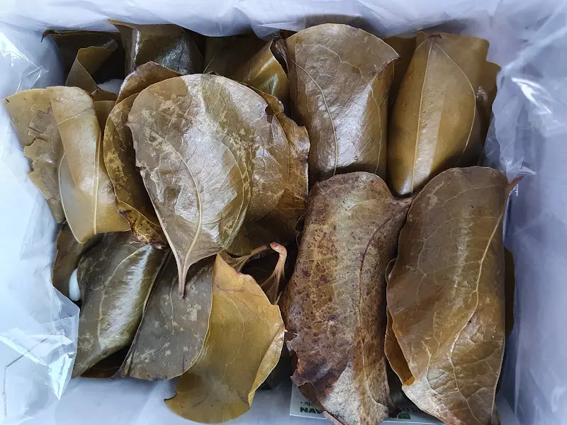 망개잎에 싸인 망개떡