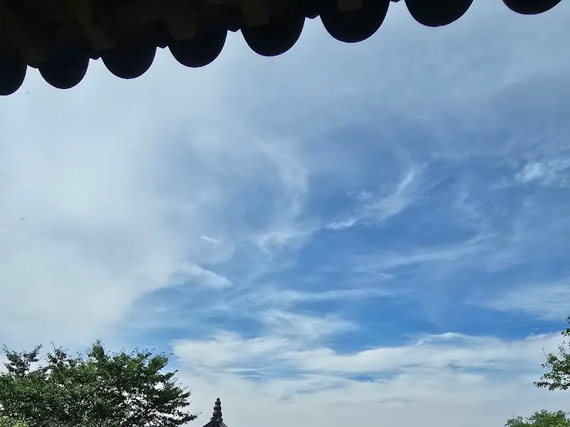 꽃자리에서 올려다본 하늘