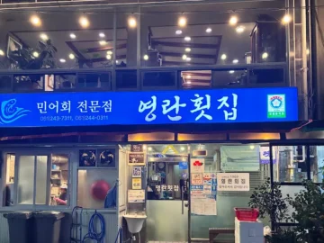 유달산 자락, 목포 민어의 거리에서 찾은 영란횟집: 깊어가는 풍미의 향토 맛집 기행