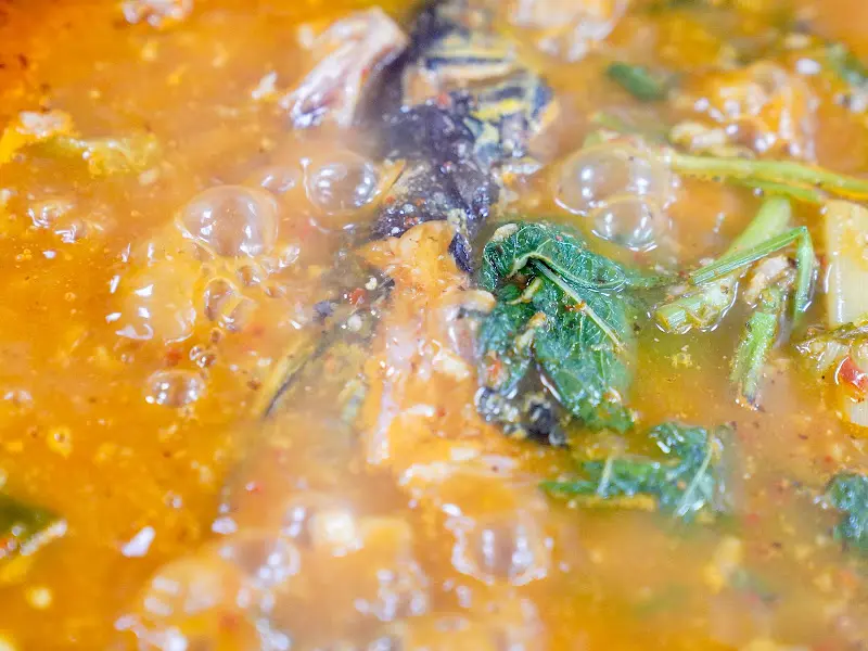 메기 살 클로즈업