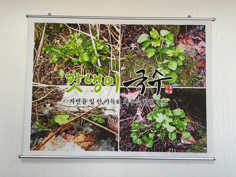 갓냉이 국수 안내