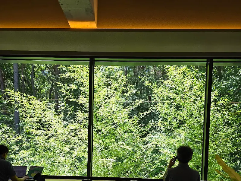 숲 뷰가 보이는 카페