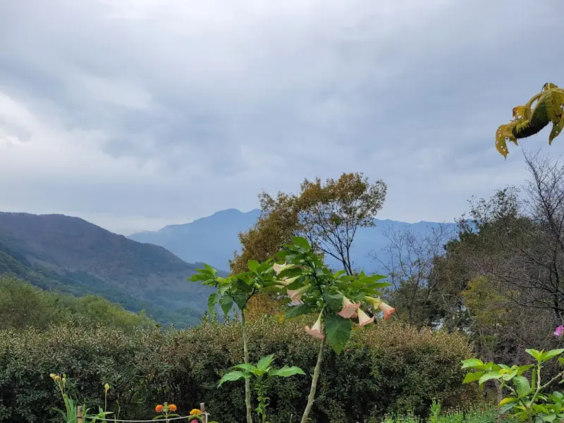 카페에서 바라본 풍경