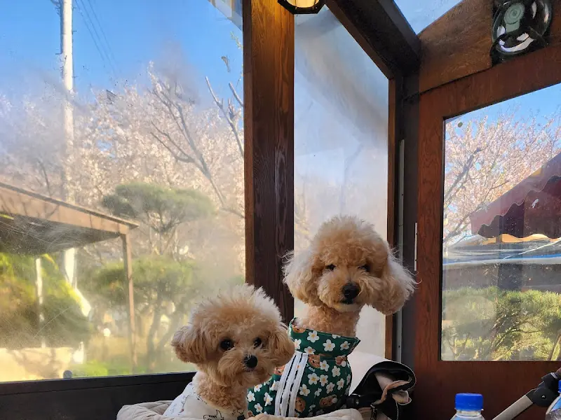 애견 동반 공간