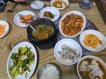 세종 금남면의 숨은 보석, 큰나무식당에서 맛보는 푸근한 시골 인심 혼밥기행