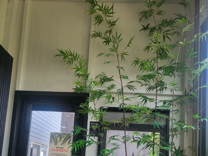 바자라 내부 인테리어