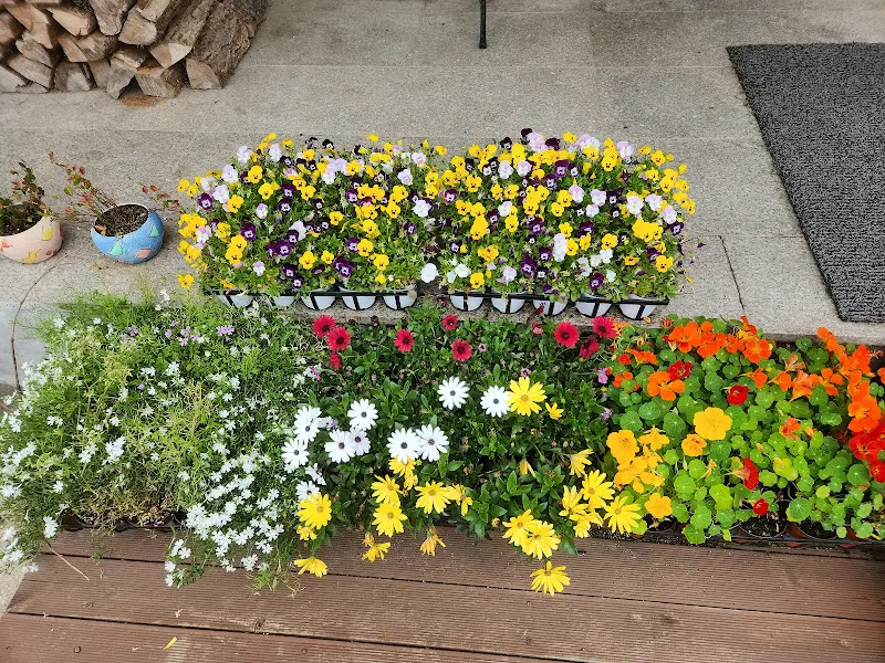 팔당 자연애 입구의 꽃 장식