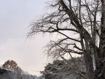 청양의 숨겨진 보석, 시간을 거슬러 올라가는 방기옥고택 한옥카페에서 맛보는 향수