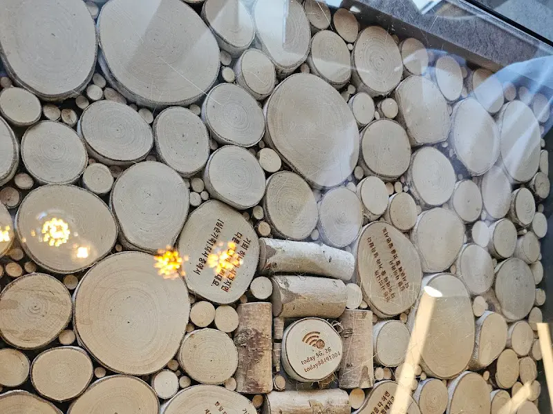 자작나무로 장식된 벽면