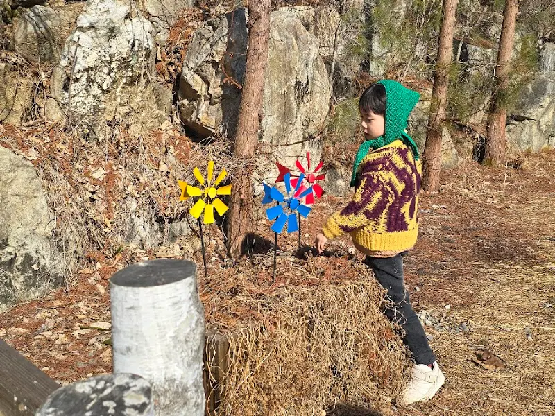 카페 앞에 설치된 바람개비