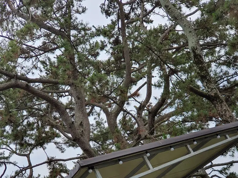 갈비탕과 선창가 풍경