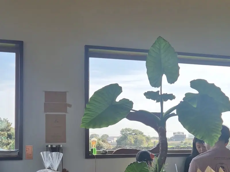 가는곶 세화 내부 인테리어