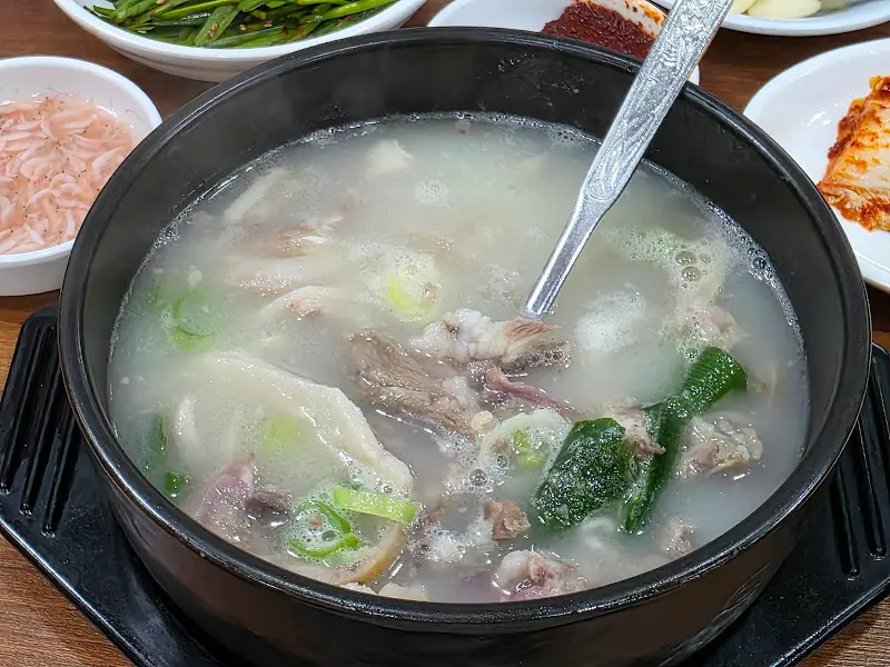 돼지국밥 클로즈업