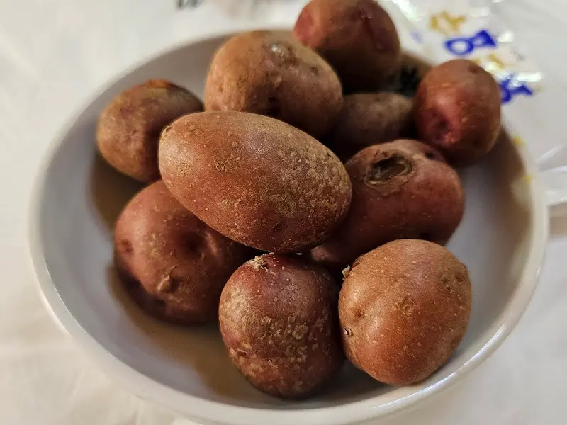 귀여운 사이즈의 찐 감자