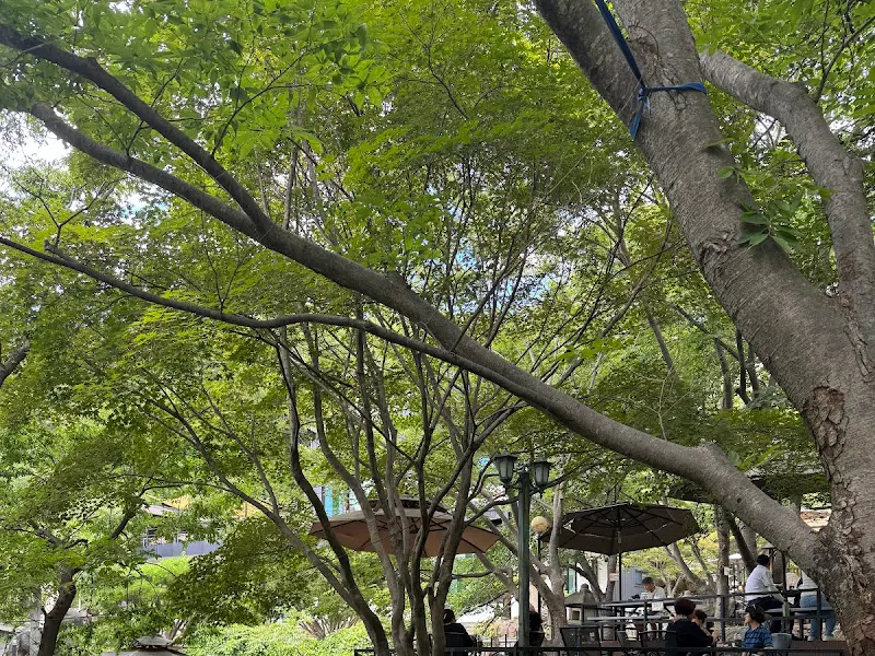 카페 야외 테이블