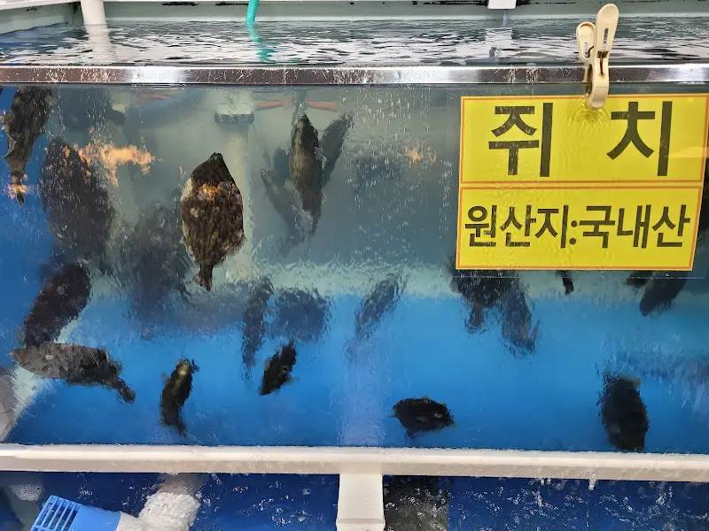 수족관의 싱싱한 물고기들