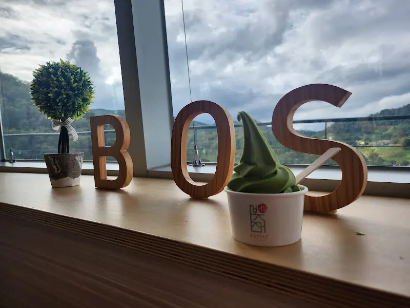 녹차 아이스크림과 'BOS'