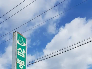 장수 혼밥도 괜찮아! 삼봉가든에서 맛보는 정갈한 건강식 백반, 숨겨진 지역 맛집