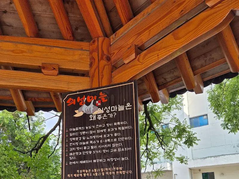 의성마늘 효능 안내판