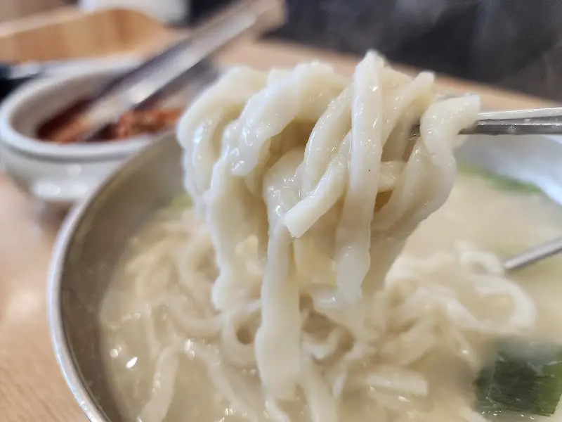 멸치칼국수 면발 클로즈업