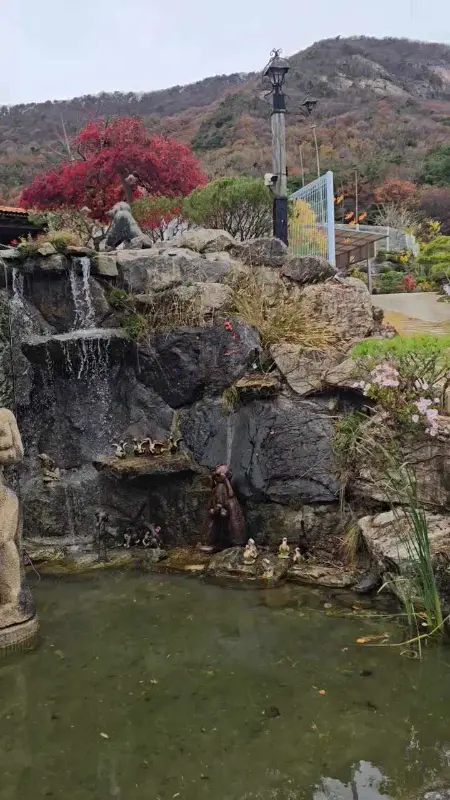 정원의 연못과 폭포