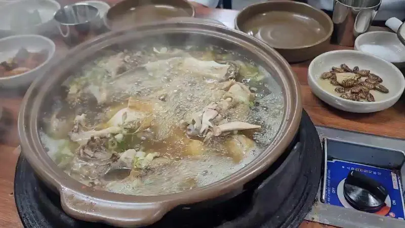 보글보글 끓고 있는 옻닭