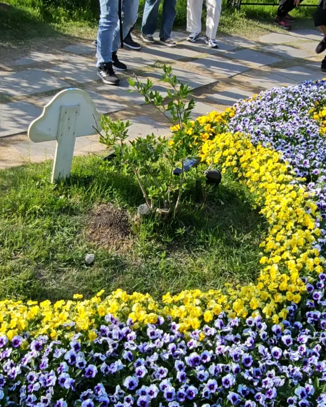 정가네갈비 주변 풍경