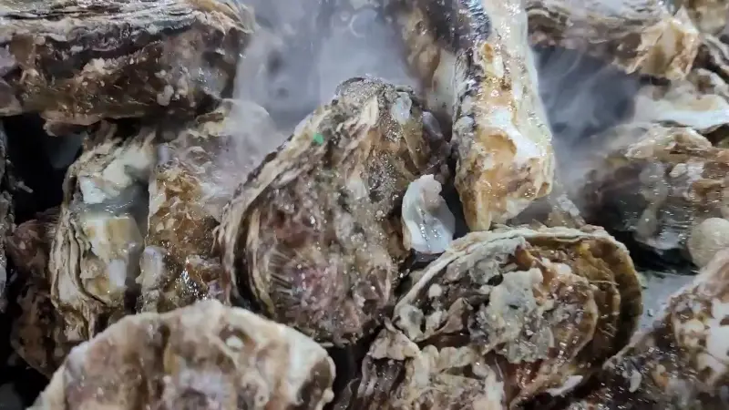 굴 껍데기에서 피어오르는 뜨거운 증기