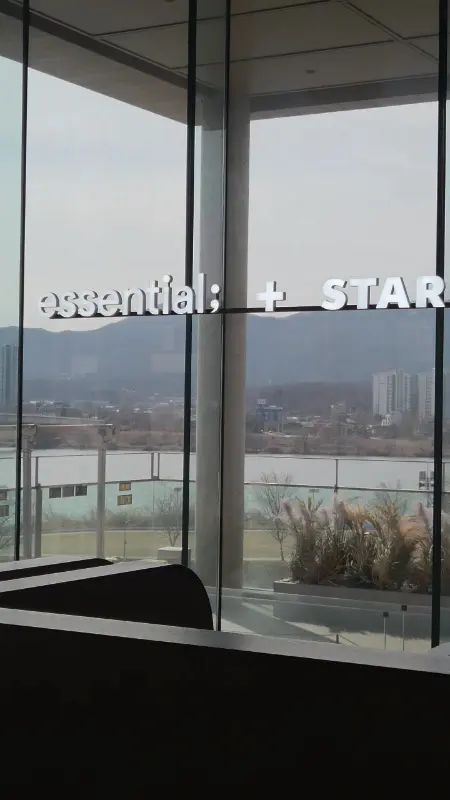 통유리창에 비치는 풍경