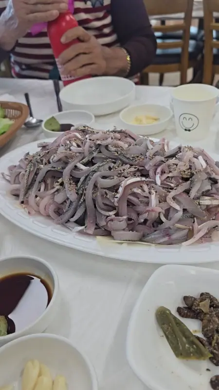 윤기가 좌르르 흐르는 전어회